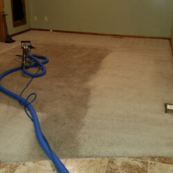 A carpet cleaning machine with a blue hose is used on a beige carpet, showing a contrast between cleaned and uncleaned areas.