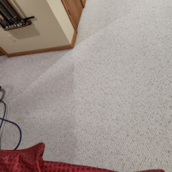 A section of light-colored carpet showing a visible clean line, with cleaning equipment and pool cues visible in the corner.