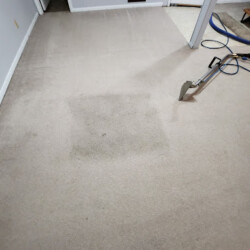 Beige carpet with a visible square stain in the center; carpet cleaning tool and person's shoes visible on the right.
