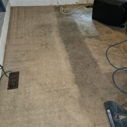 A carpet with a clear line showing the difference between cleaned and uncleaned areas, with cleaning equipment visible.
