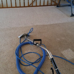 A carpet cleaning machine is being used, showing a visible difference between cleaned and uncleaned carpet areas.