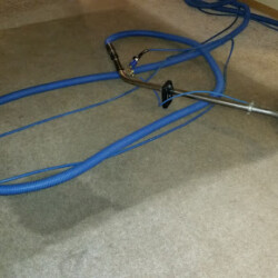 A carpet cleaning wand and blue hoses lie on a carpet, showing a clear line between cleaned and uncleaned areas.