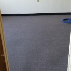 An empty room with gray carpet, a longhorn skull mounted on the wall, and a blue hose in the far corner.