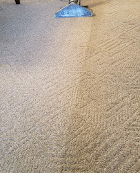 A person uses a carpet cleaning machine, leaving a clean path on a beige carpet.