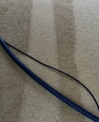 Carpet with visible clean and dirty sections, blue and black hoses laid across the floor, sunlight in the background.