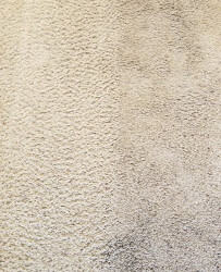 Carpet with a clear division showing a clean side on the left and a dirty side with stains on the right.