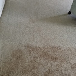 Light-colored carpet with multiple dark stains near the foreground and a piece of furniture partially visible on the right.