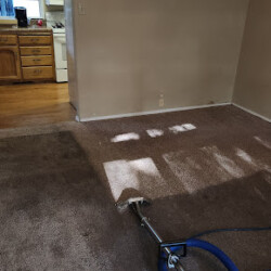 A carpet cleaning tool is being used on a brown carpet, with a visible clean area beside a kitchen with wooden cabinets.