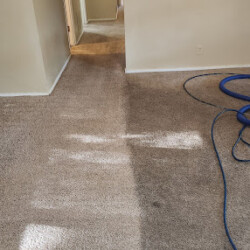 Carpet being cleaned with a steam cleaner, showing a clear contrast between cleaned and uncleaned areas.