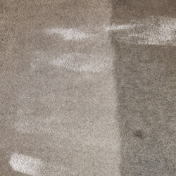 A carpet showing a clear contrast between a cleaned section on the right and a dirtier, uncleaned section on the left.