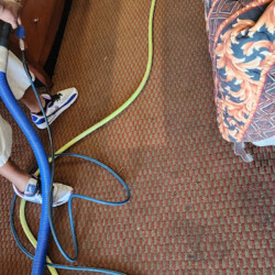 Person steam cleaning a carpet in a room, with hoses and cleaning equipment visible on the floor.
