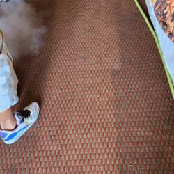 Person steam cleaning patterned carpet near a bed with visible hose and partial view of their legs and shoes.