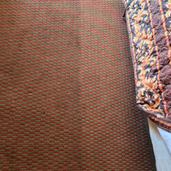 A carpet shows a distinct clean line dividing a freshly cleaned area from a dirtier, uncleaned section near furniture and a hose.