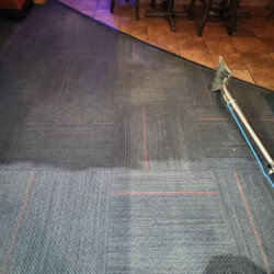 A carpet cleaning wand is partially visible on a blue carpet, showing a clear line between cleaned and uncleaned sections.