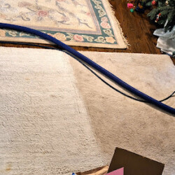 A carpet is being cleaned, showing a stark contrast between the cleaned area and the still-dirty section.