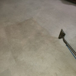 A carpet cleaner is being used on a light-colored carpet, showing a contrast between cleaned and uncleaned areas.