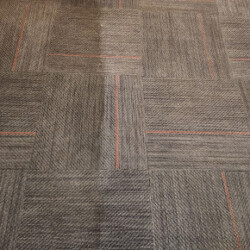A carpeted floor with square tiles, showing a visible line of cleaner tiles next to dirtier ones.