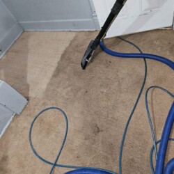 A carpet cleaning wand and blue hoses are being used to clean a dirty beige carpet, revealing a cleaner section.