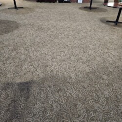 Patterned carpeted floor with visible dark stains and several round tables spaced around the room.