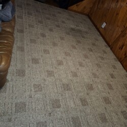 A beige patterned carpet covers the floor of a wood-paneled room with a brown leather sofa and a black storage box.