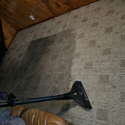 A carpet cleaning tool is removing dirt, leaving a visibly cleaner section on a patterned carpet.