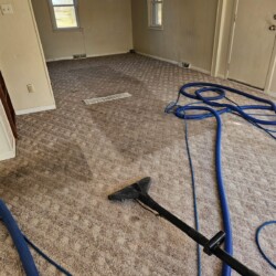 A carpet cleaning wand and hoses on a partially cleaned carpet in an empty, unfurnished room.