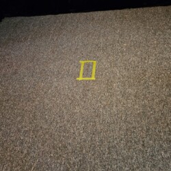 A yellow rectangle made of tape is placed on a gray carpeted floor in front of a black curtain.