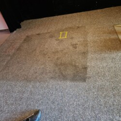 A square patch of carpet is visibly cleaner than the surrounding area, with a fan and taped section nearby.