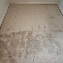 Room with light-colored carpet showing clear contrast between a clean area and a heavily stained, dirty section.