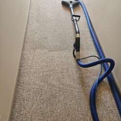 A carpet cleaning wand with blue hose lies on a hallway carpet, showing a clear line between cleaned and uncleaned areas.