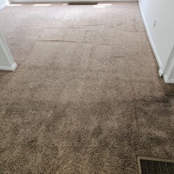 Room with beige carpet showing visible wear, some stains, and vent openings; white walls and partial wood floor visible.