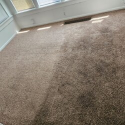 Room with beige carpet showing a visible line between a cleaner and a dirtier section, with sunlight coming through windows.