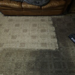 A carpet is partially cleaned with a carpet cleaner, showing a clear contrast between dirty and clean sections.